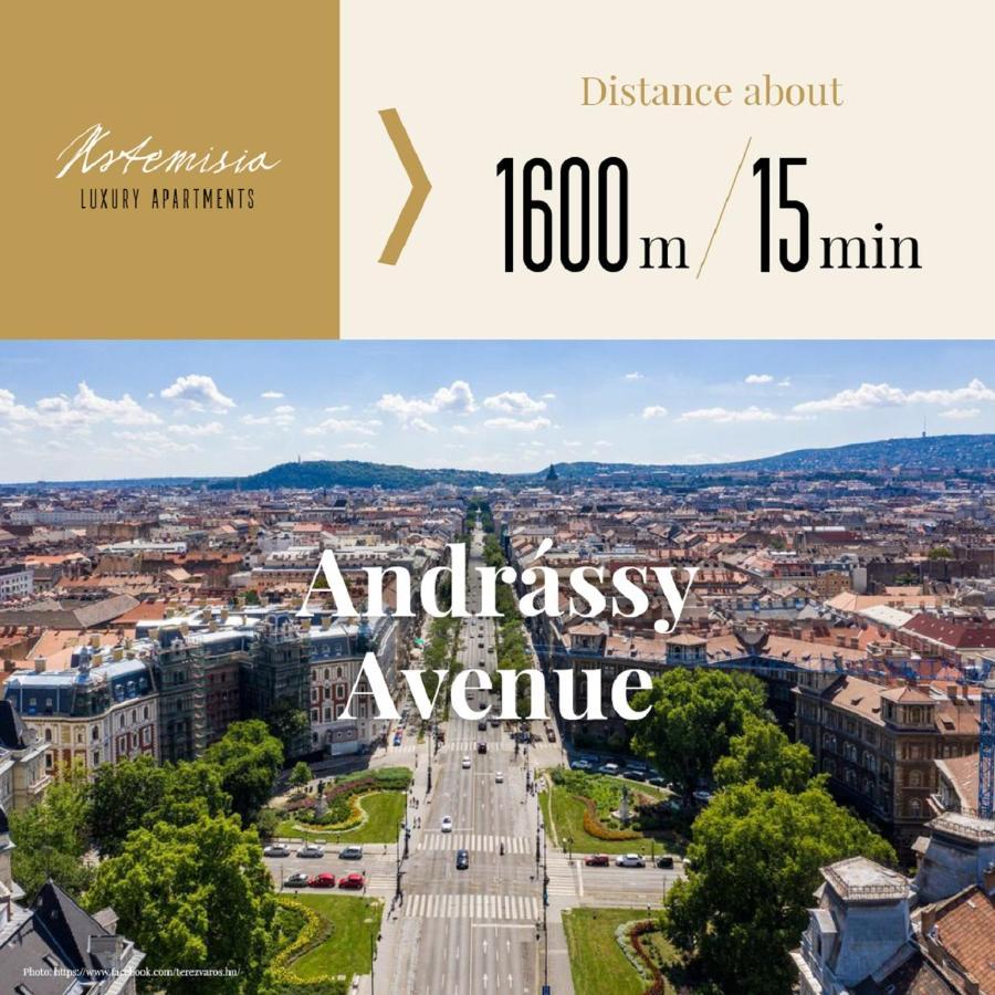 Artemisia Luxury Apartments Skyflat Budapeszt Zewnętrze zdjęcie