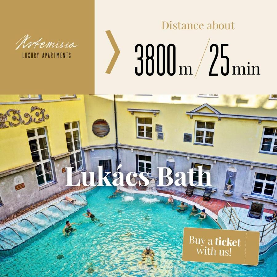 Artemisia Luxury Apartments Skyflat Budapeszt Zewnętrze zdjęcie